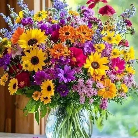 Appartement Vous Viendrez Vivre Ici 2 Pièces Lavandes Garage à Moto *